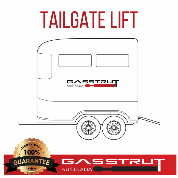 TAILGATE IMAGE FOR GAS STRUTS